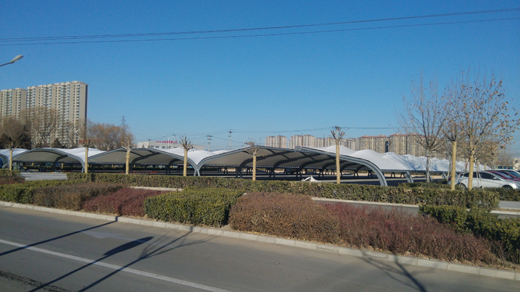 1-200622091R6463.jpg